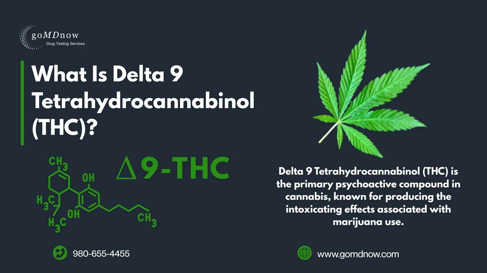 Delta 8 and Delta 9 THC Drug Testing Consequences for CDL Drivers
