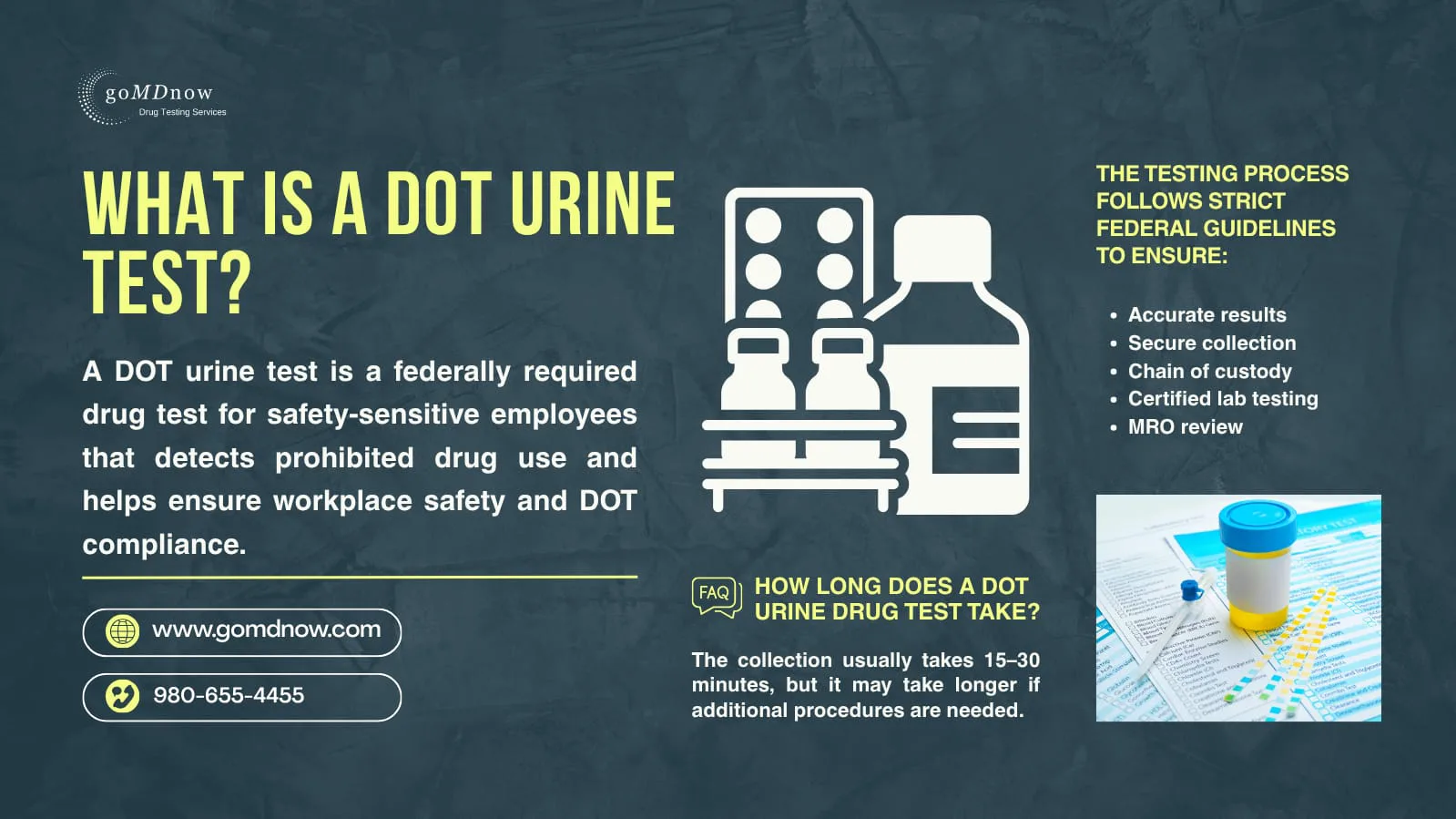 What a DOT urine test is and its federal safeguards