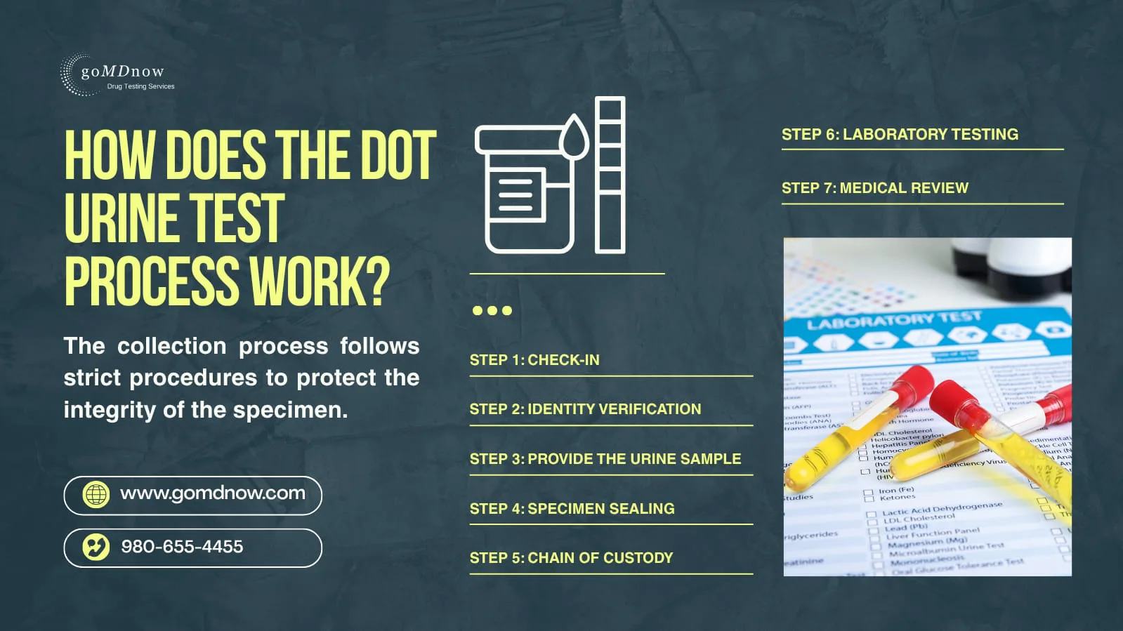 Steps in the DOT urine drug testing process