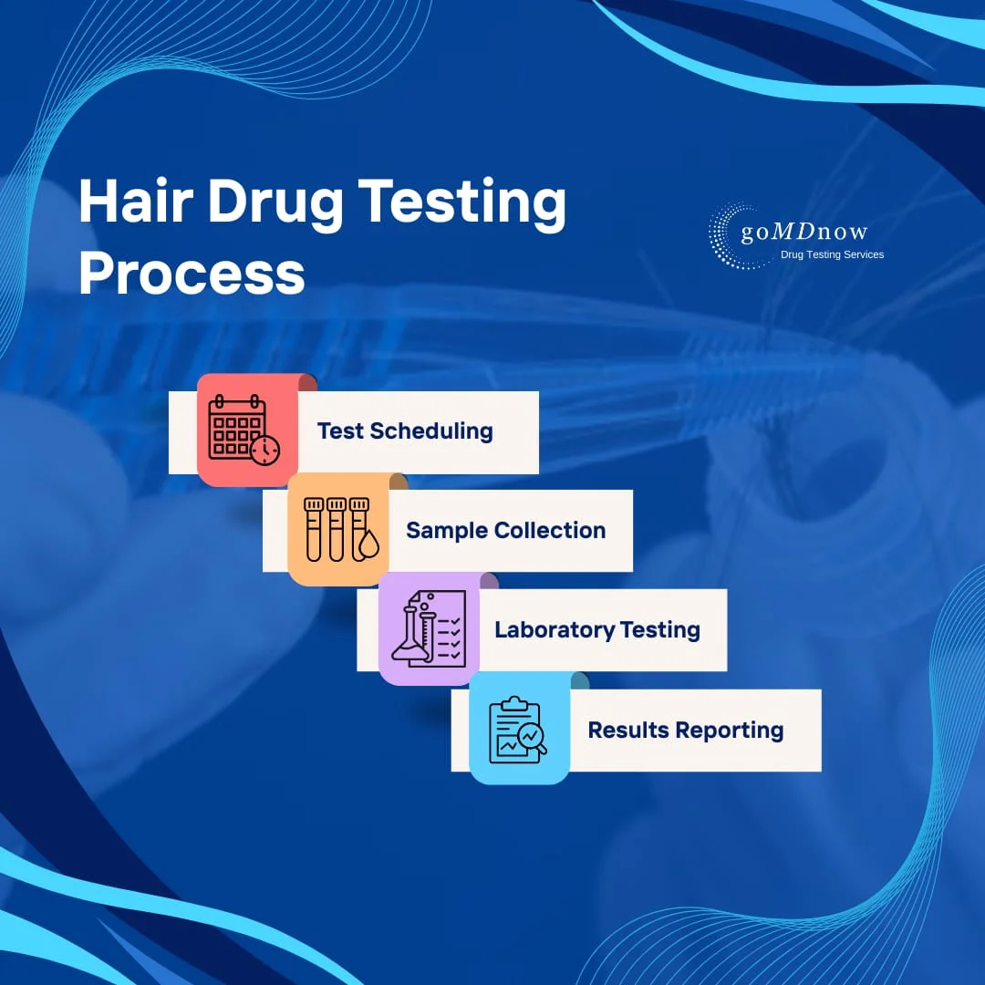 How Hair Drug Testing Works?
