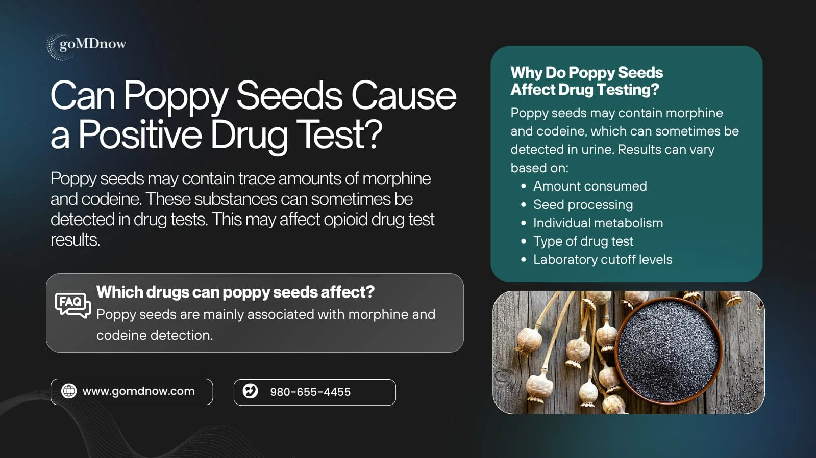 Can Poppy Seeds Cause a Positive Drug Test - Why and Which Drugs Affected