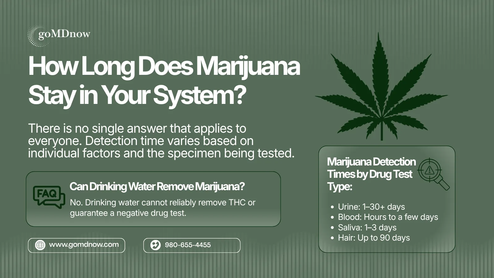 Marijuana Detection Times by Drug Test Type — Urine, Blood, Saliva, and Hair