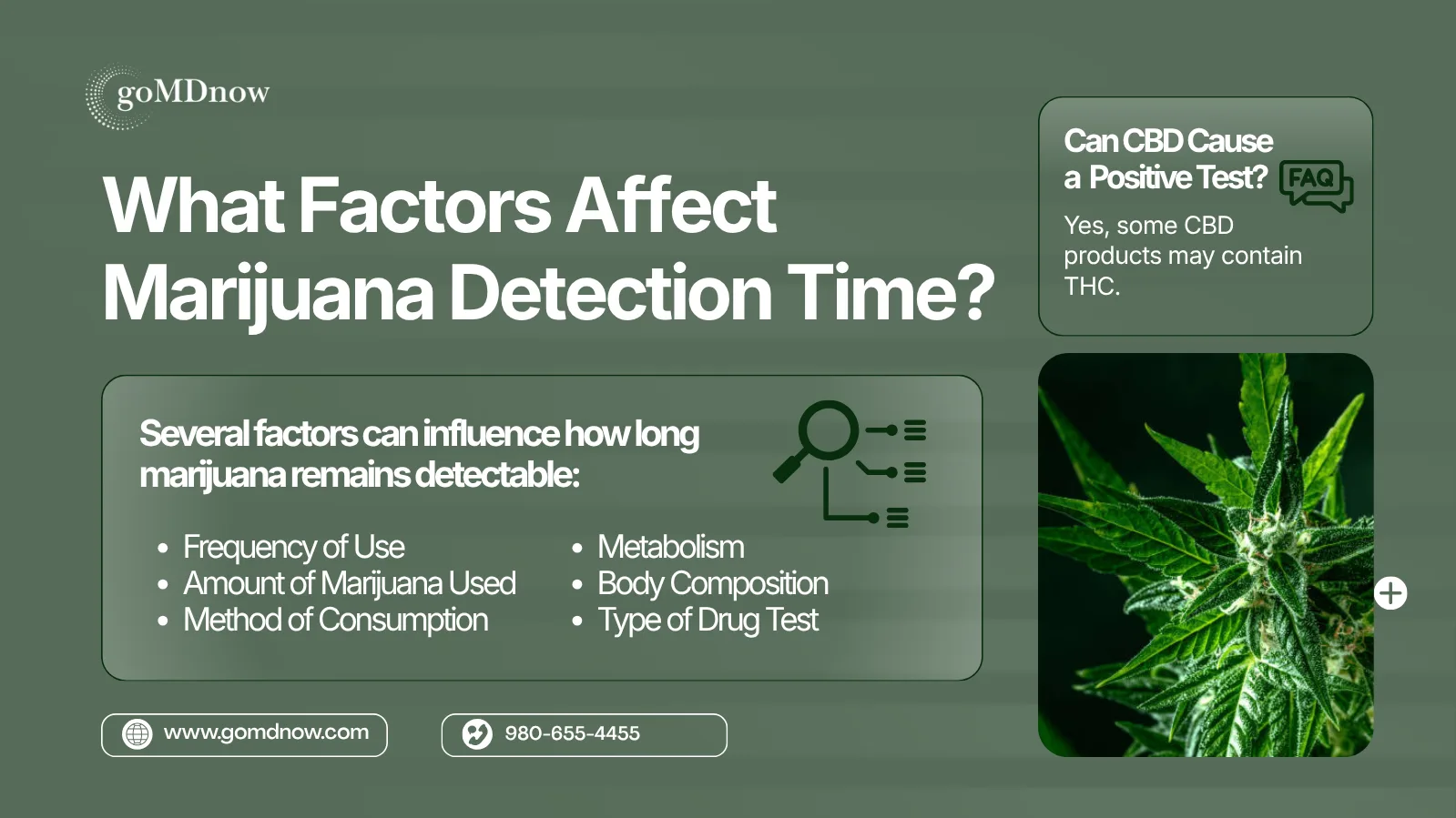 Factors That Affect Marijuana Detection Time — Frequency, Metabolism, Body Fat, and Test Type