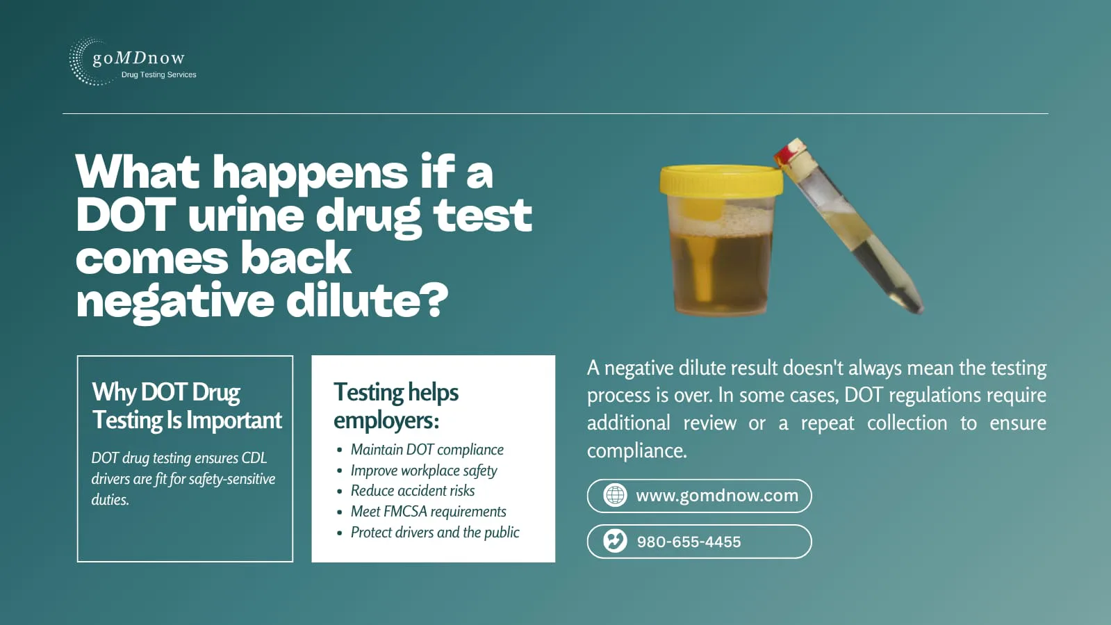 DOT negative dilute urine drug test case study