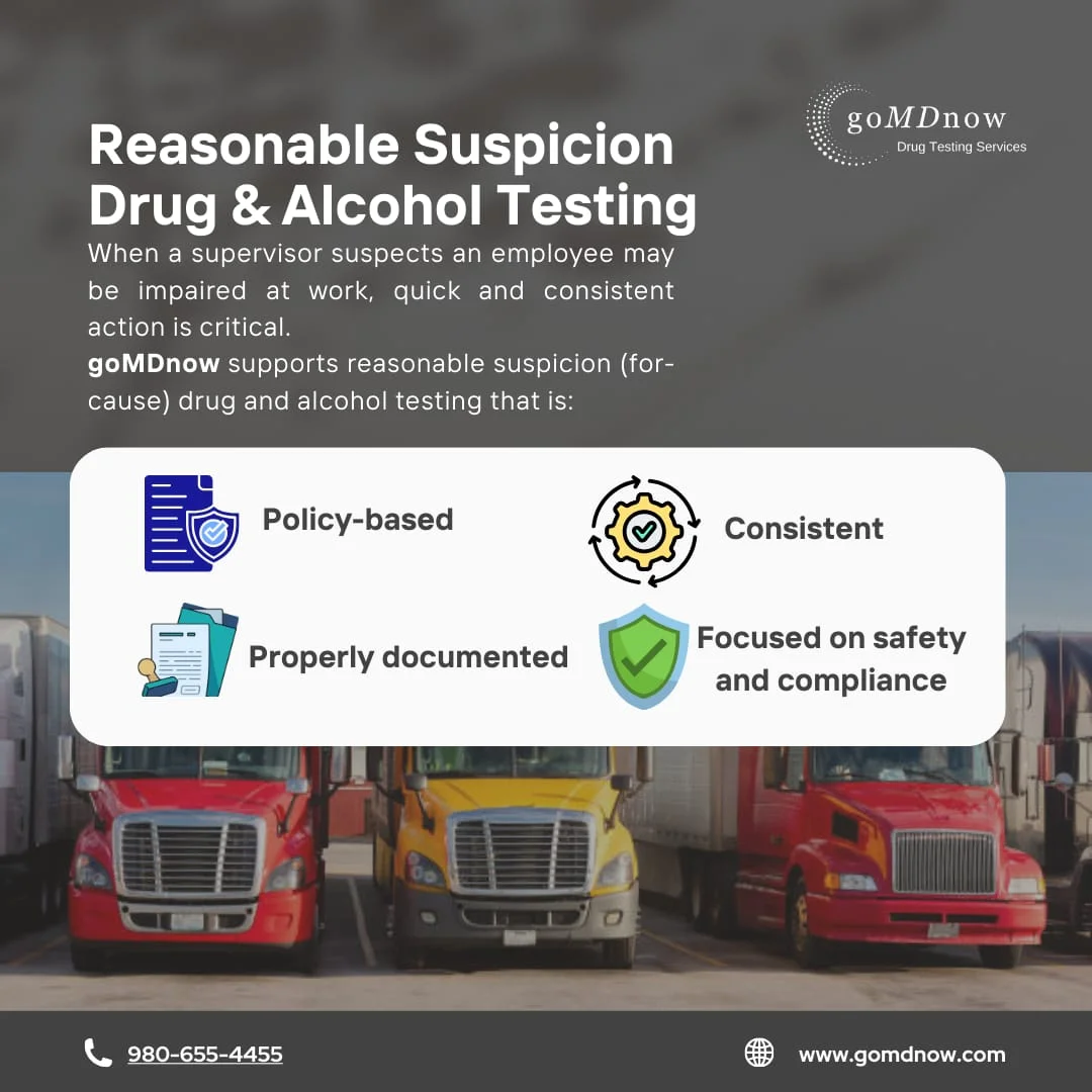 What Is Reasonable Suspicion Testing?