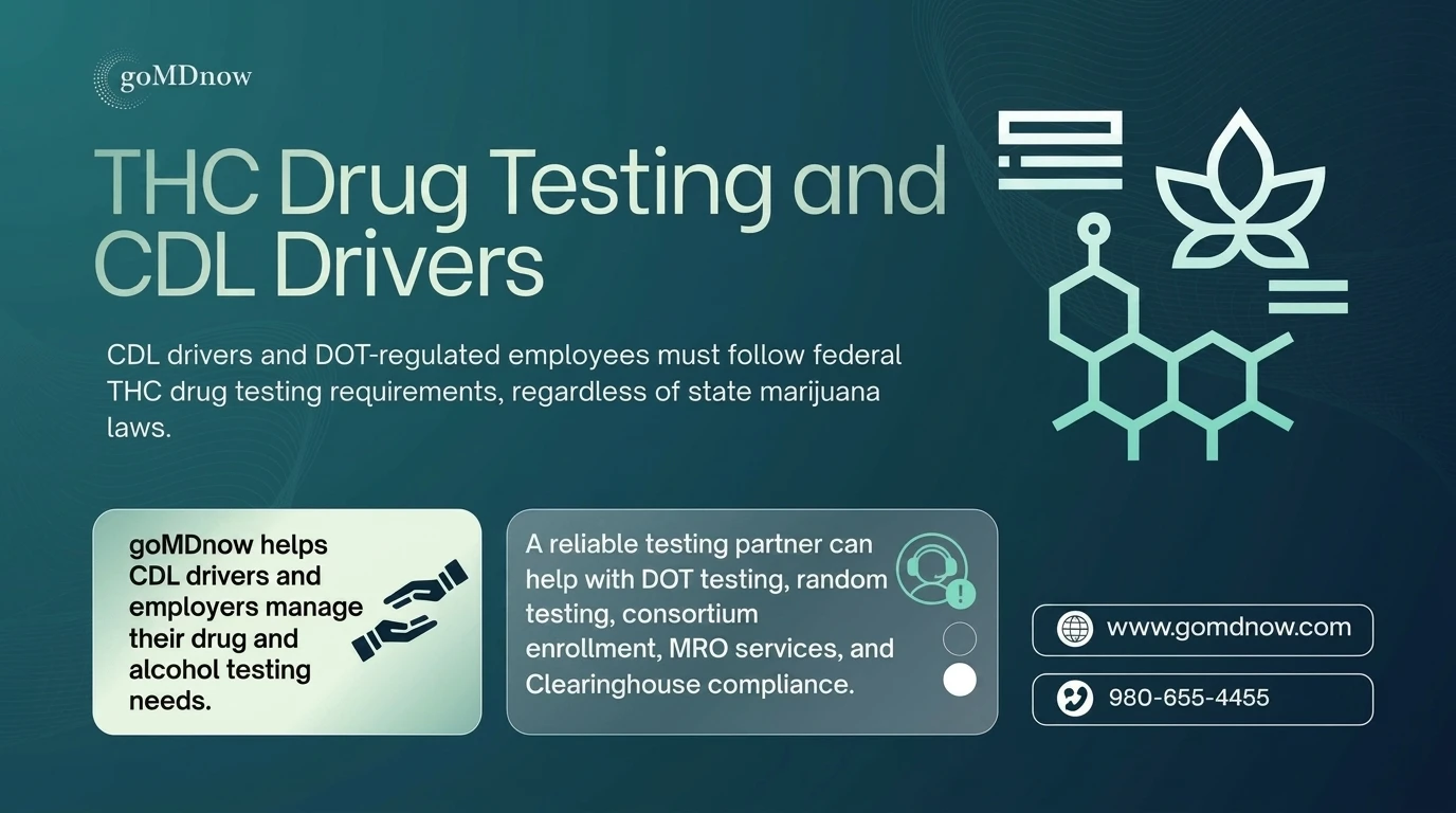THC Drug Testing and CDL Drivers — goMDnow Compliance Guide