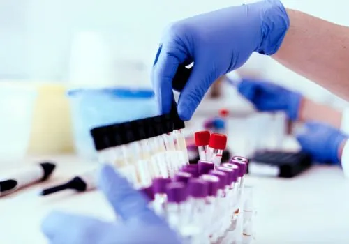 Drug Testing Myths Uncovering