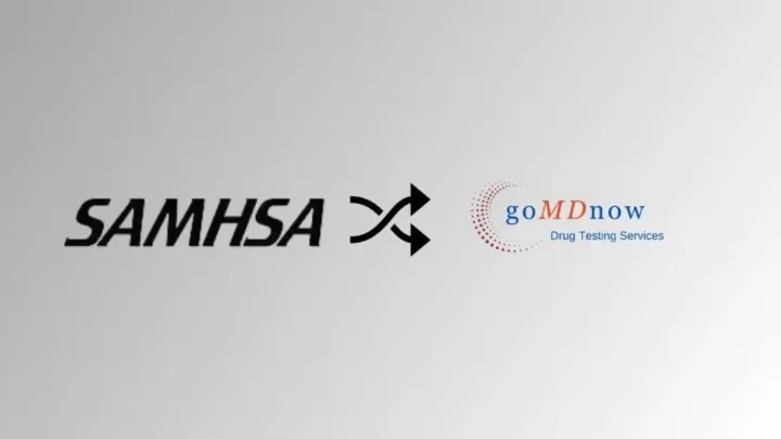 Why Choosing a SAMHSA-Certified Lab Matters for Accurate and Compliant Drug Testing