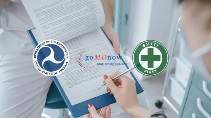 Understanding the Role of DOT Chain of Custody in Drug Testing