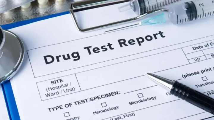 DOT Random Testing Pool vs Stand-Alone Pool: Which Is Right for Your Fleet?