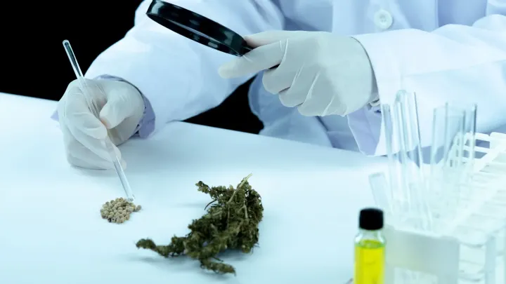 6 THC Drug Testing Myths Every CDL Driver and Employer Must Know
