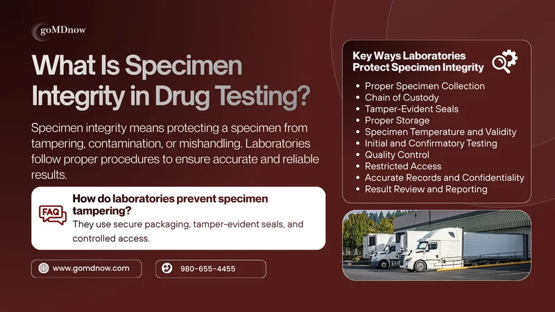 What is specimen integrity in drug testing and how laboratories protect specimens