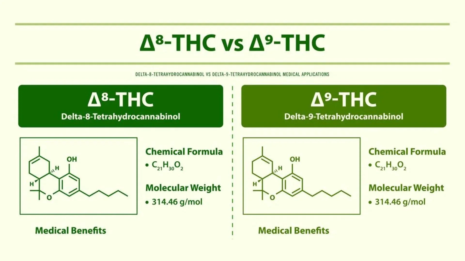 Exploring the Key Differences Delta 8 vs Delta 9 Banner