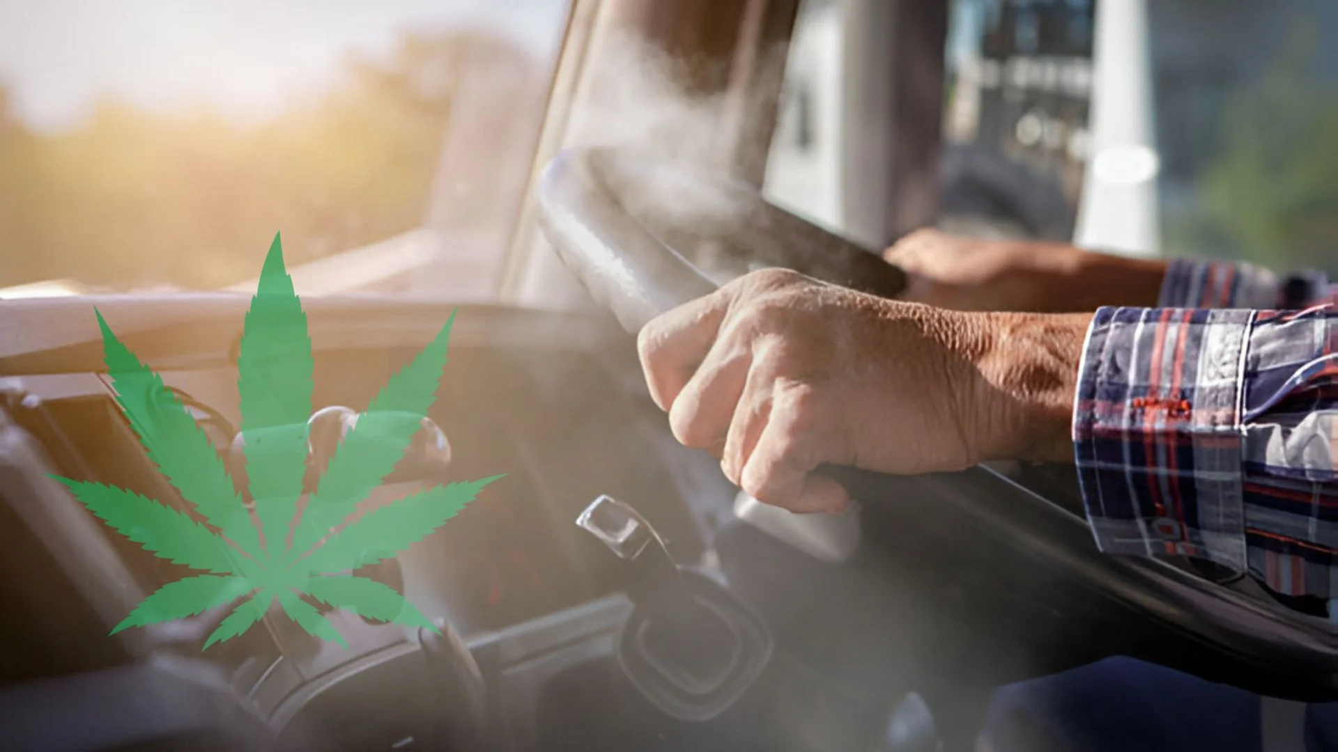 Why Truckers Feel the Need to Use Pot?